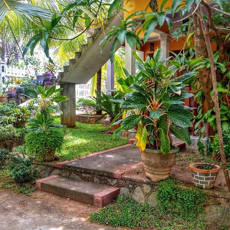 Sigiri Regal Residence Sigiriya Exterior photo